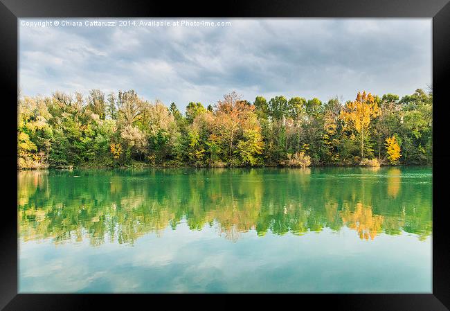  Trees and reflections Framed Print by Chiara Cattaruzzi