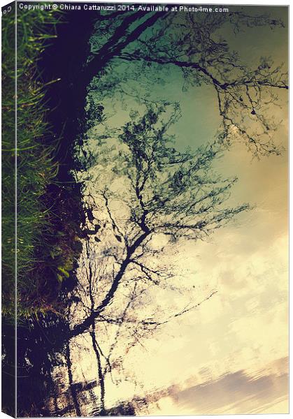  Trees reflections Canvas Print by Chiara Cattaruzzi