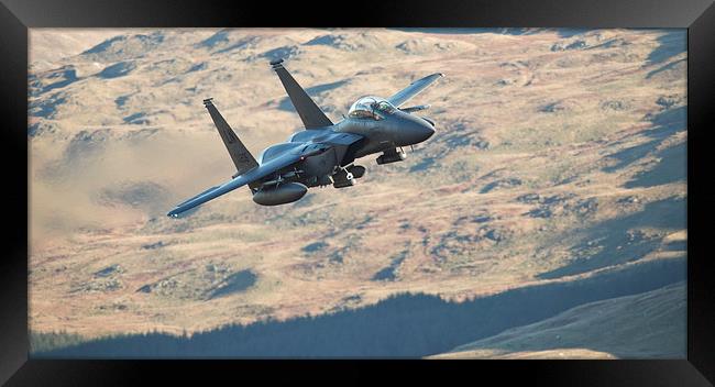  F15 - Eagle Framed Print by Rory Trappe