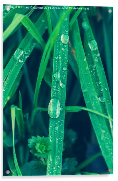 Drops of dew Acrylic by Chiara Cattaruzzi