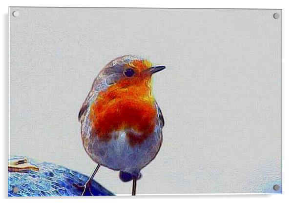 Robin Redbreast   Acrylic by carin severn