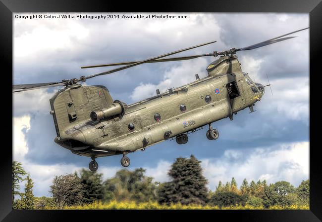 RAF Odiam Display Chinook 3 - Dunsfold 2014 Framed Print by Colin Williams Photography