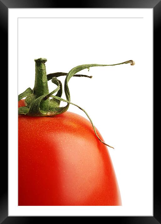 tomato Framed Mounted Print by Josep M Peñalver