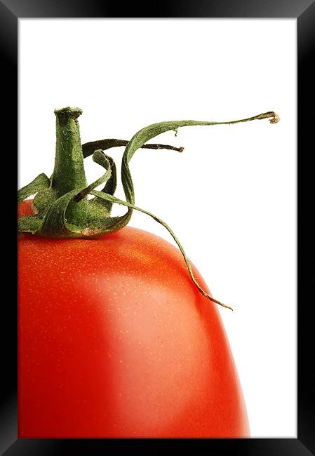 tomato Framed Print by Josep M Peñalver