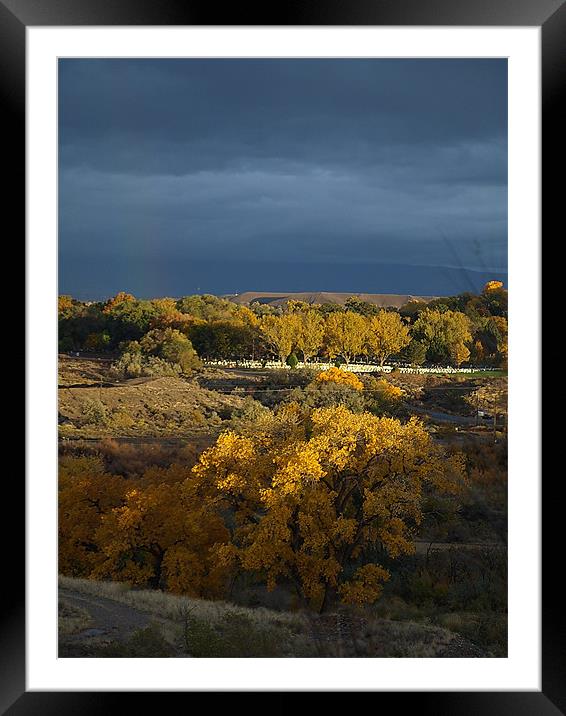 Fall at the cemetery. Framed Mounted Print by Patti Barrett