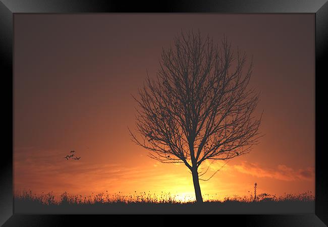 autumn sunset Framed Print by sam mitchell