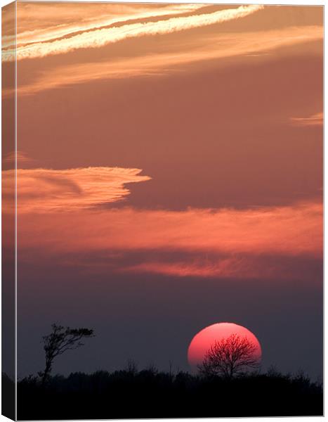 Sunset behind the trees Canvas Print by Mike Gorton
