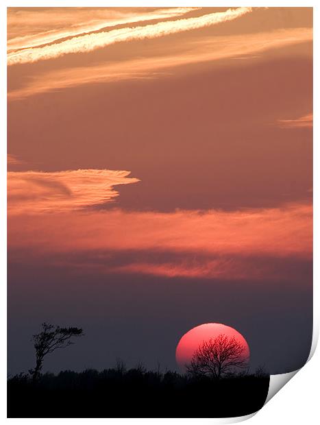 Sunset behind the trees Print by Mike Gorton