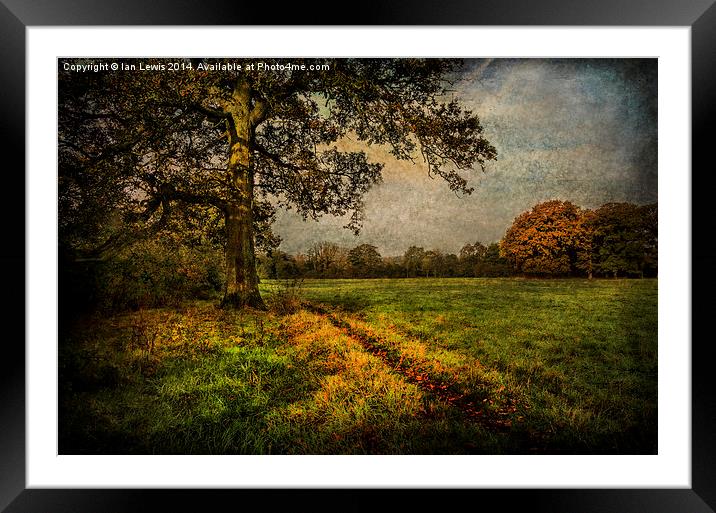 Tranquil Autumnal Pathway Framed Mounted Print by Ian Lewis