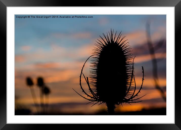  Sunset Sihouette Framed Mounted Print by David Charlton