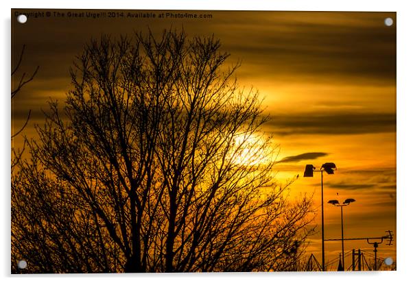 Sunset colour Acrylic by David Charlton