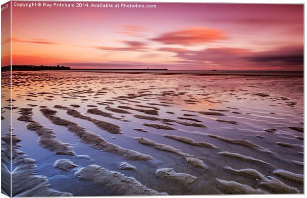  South Shields Beach Canvas Print by Ray Pritchard