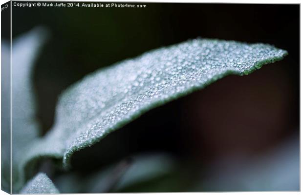  Jewels in the Morning Dew Canvas Print by Mark Jaffe