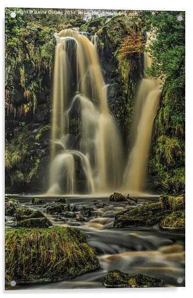  Waterfall at Bolton Abbey Yorkshire Acrylic by David Oxtaby  ARPS