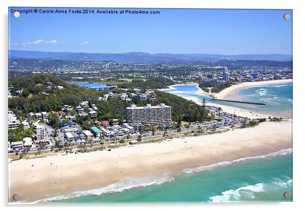  Gold Coast Aerial Acrylic by Carole-Anne Fooks