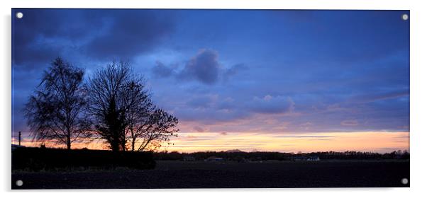  Sun setting over East Lothian Acrylic by Alan Whyte