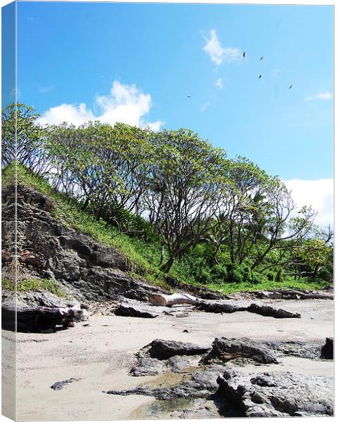  Trees, Rocks and Birds Canvas Print by james balzano, jr.