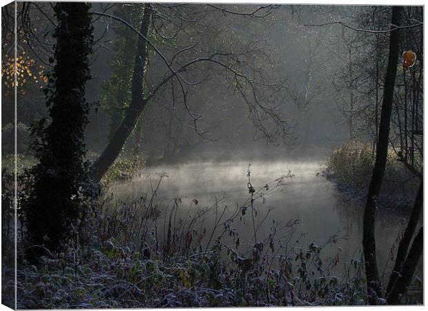  Cold and frosty Morning Canvas Print by Paul Collis