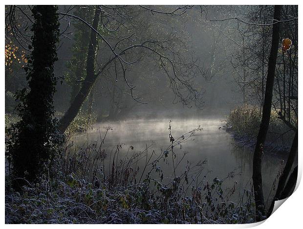 Cold and frosty Morning Print by Paul Collis