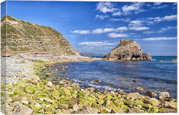  Mupe Bay. Canvas Print by Mark Godden