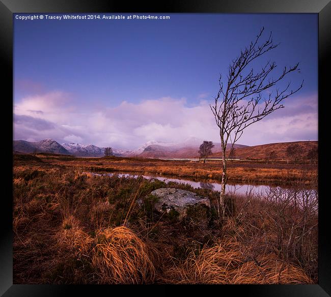 Rannoch Moor Framed Print by Tracey Whitefoot