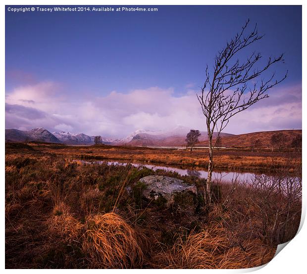 Rannoch Moor Print by Tracey Whitefoot