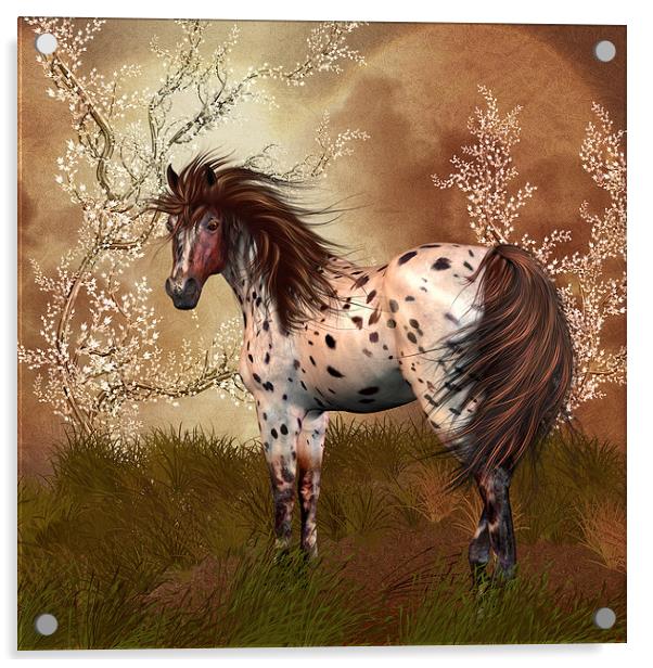 Golden Hour Equine Horse Wall Art Acrylic by Tanya Hall