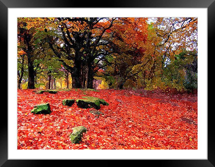  fall Framed Mounted Print by dale rys (LP)
