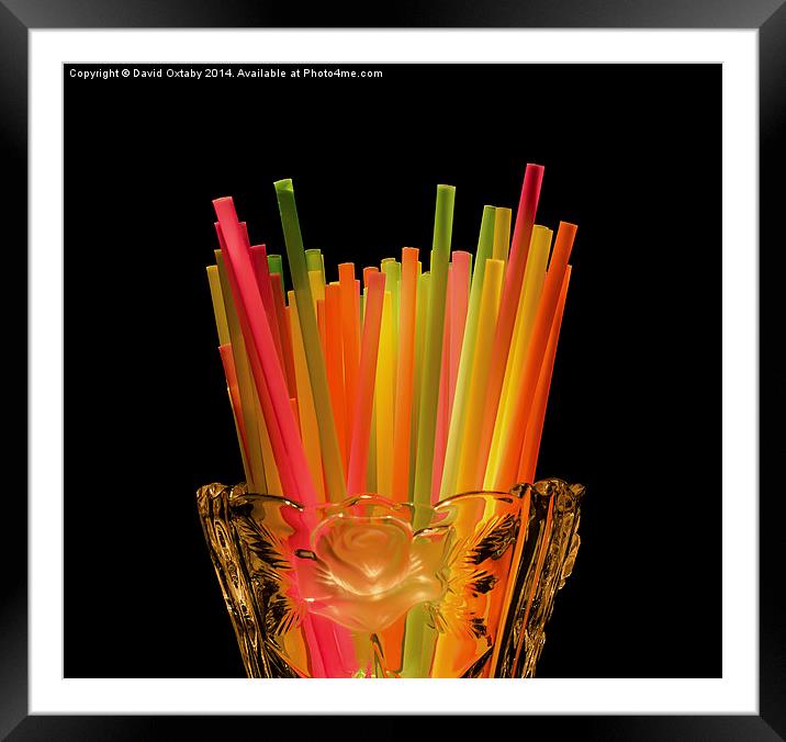  Still life Straws in Vase Framed Mounted Print by David Oxtaby  ARPS