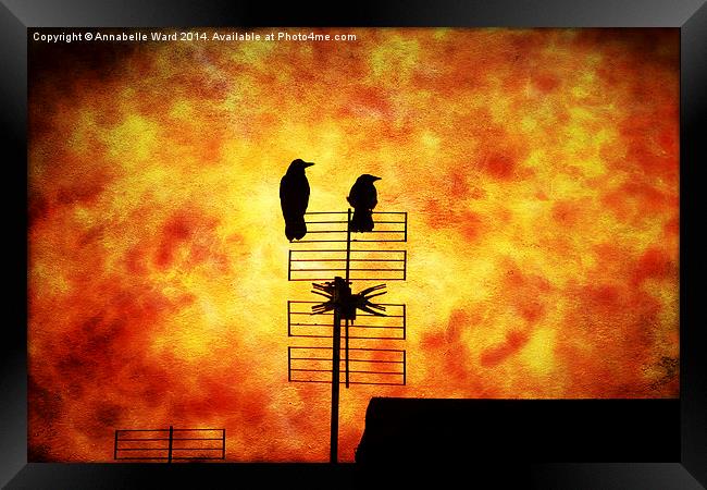  Two Crow Fire Framed Print by Annabelle Ward