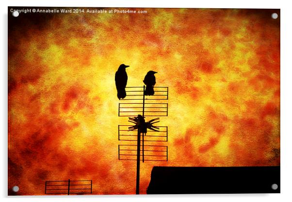  Two Crow Fire Acrylic by Annabelle Ward