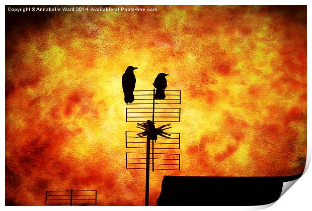  Two Crow Fire Print by Annabelle Ward