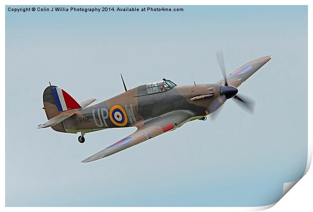 Hawker Hurricane Shoreham 2014 - 1 Print by Colin Williams Photography