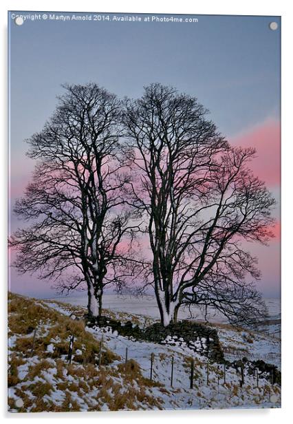 Winter Wonderland Amidst the Snowy Pennines Acrylic by Martyn Arnold