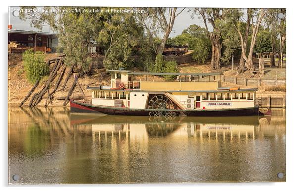  Pride of the Murray paddle steamer at Echuca Acrylic by Pauline Tims