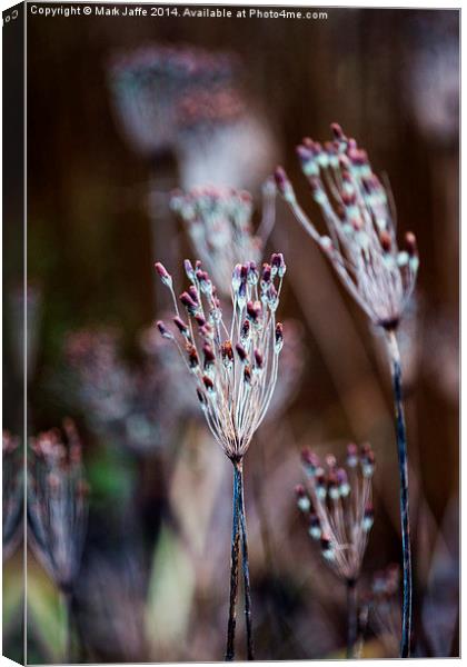  Green fingers, woody arms, red nails Canvas Print by Mark Jaffe