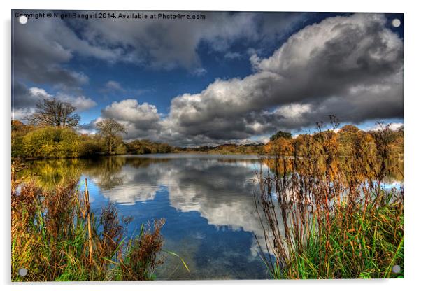  Autumn Lake Acrylic by Nigel Bangert