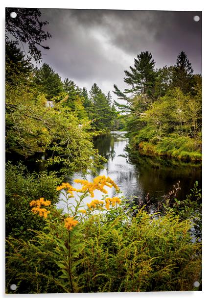 Jakes Falls, Nova Scotia, Canada Acrylic by Mark Llewellyn