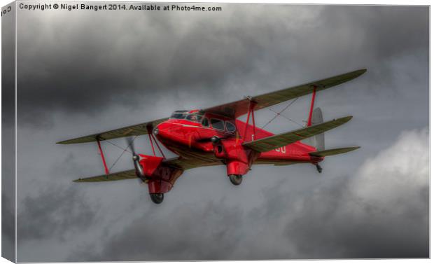 De Havilland DH.90 Dragonfly  Canvas Print by Nigel Bangert