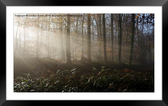  Autumn Mists Framed Mounted Print by Carolyn Eaton