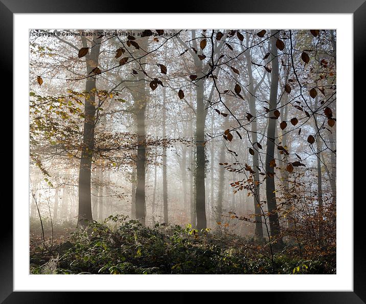  Misty Autumn Framed Mounted Print by Carolyn Eaton