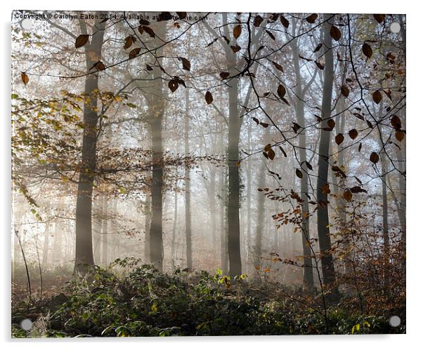  Misty Autumn Acrylic by Carolyn Eaton