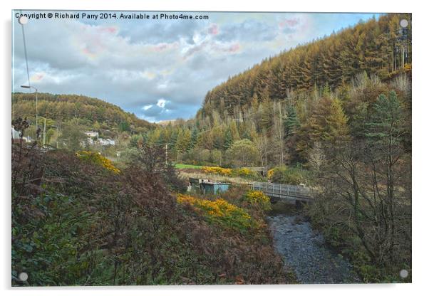 River Garw Acrylic by Richard Parry
