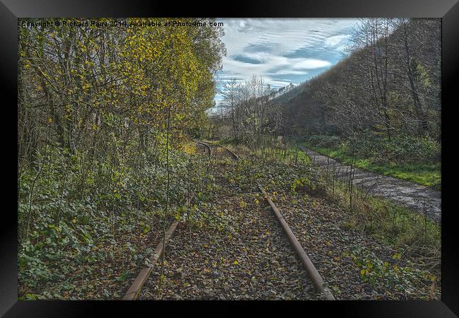  No Trains Framed Print by Richard Parry