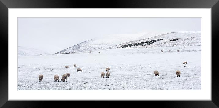  Winter in The Pentlands Framed Mounted Print by Alan Whyte