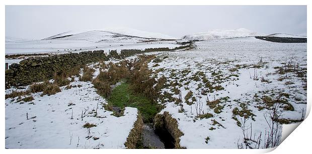  Snow across the fields Print by Alan Whyte