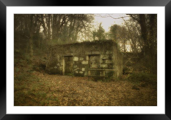 Long Forgotten Framed Mounted Print by C.C Photography