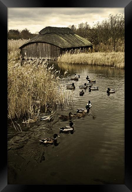 Thatched Boat House Framed Print by Stephen Mole