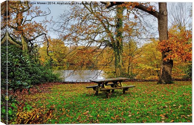  Danbury Country Park Canvas Print by Diana Mower