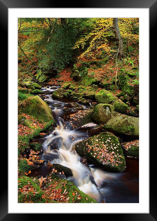 Padley Gorge Autumn Colours 2  Framed Mounted Print by Darren Galpin
